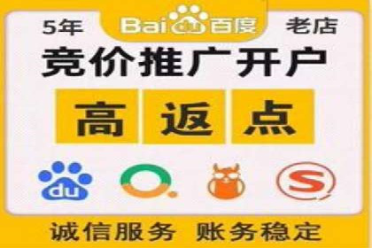 百度广告推广在电商行业的实战案例